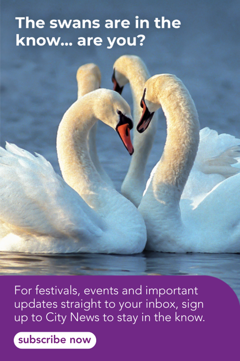 mailing-list-swans.png