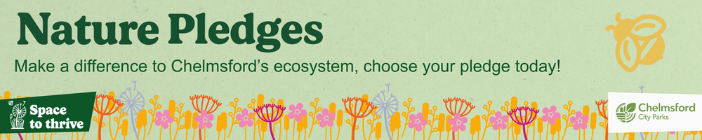 pledge-city-life-banner.png